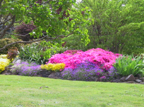 photo by Sis. Loanne Clements