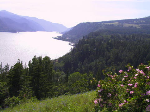 Photo by Sis. Loanne Clements