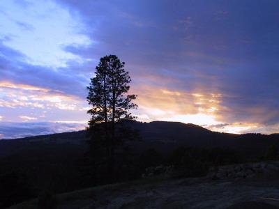 Photo by Sis. Loanne Clements