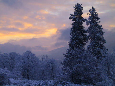 Photo by Bro. Nathan Clements